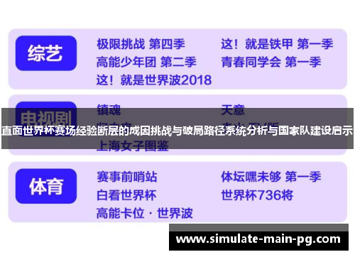 直面世界杯赛场经验断层的成因挑战与破局路径系统分析与国家队建设启示
