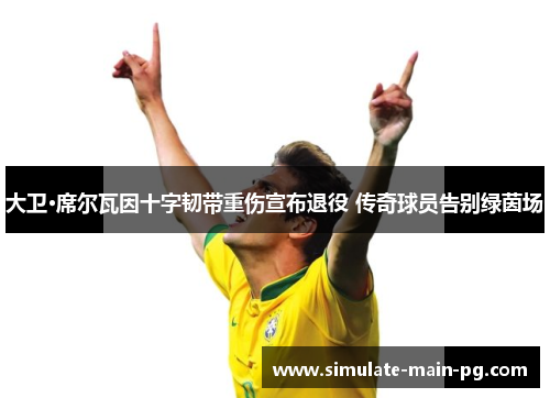 大卫·席尔瓦因十字韧带重伤宣布退役 传奇球员告别绿茵场 大卫·席尔瓦因十字韧带重伤宣布退役 传奇球员告别绿茵场